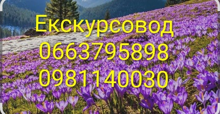 Гід по карпам, екскурсовод по карпатах, Говерла екскурсовод, екскурсії  в гори , порід в гори, екскурсії кожного дня