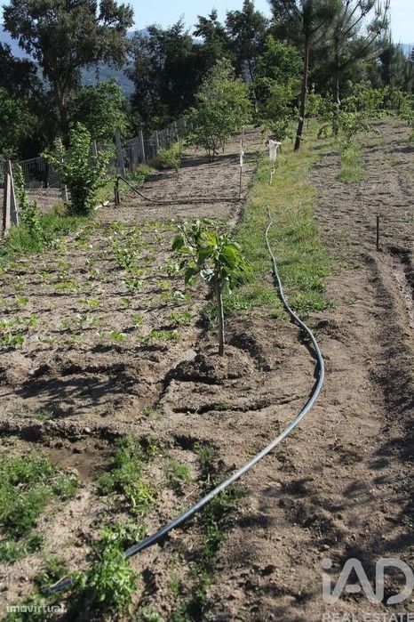 Terreno Agrícola em Oliveira do Hospital e São Paio de Gramaços