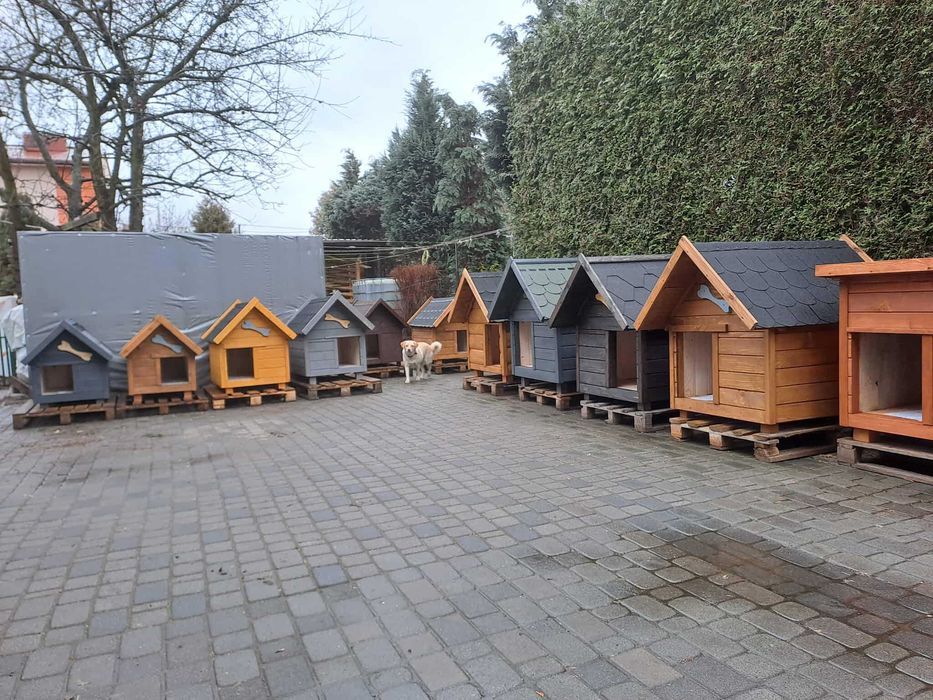 Buda dla twojego pupila Zapraszamy Możliwy transport