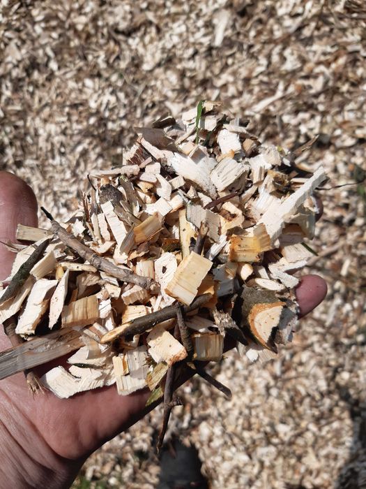 Usługi rębakiem do gałęzi / mielenie gałęzi