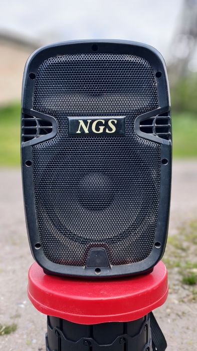 Активна акустична система NGS PP-2108AU (100W/200W)