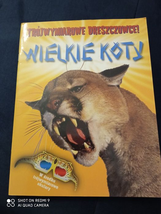 Wielkie koty trójwymiarowe dreszczowce