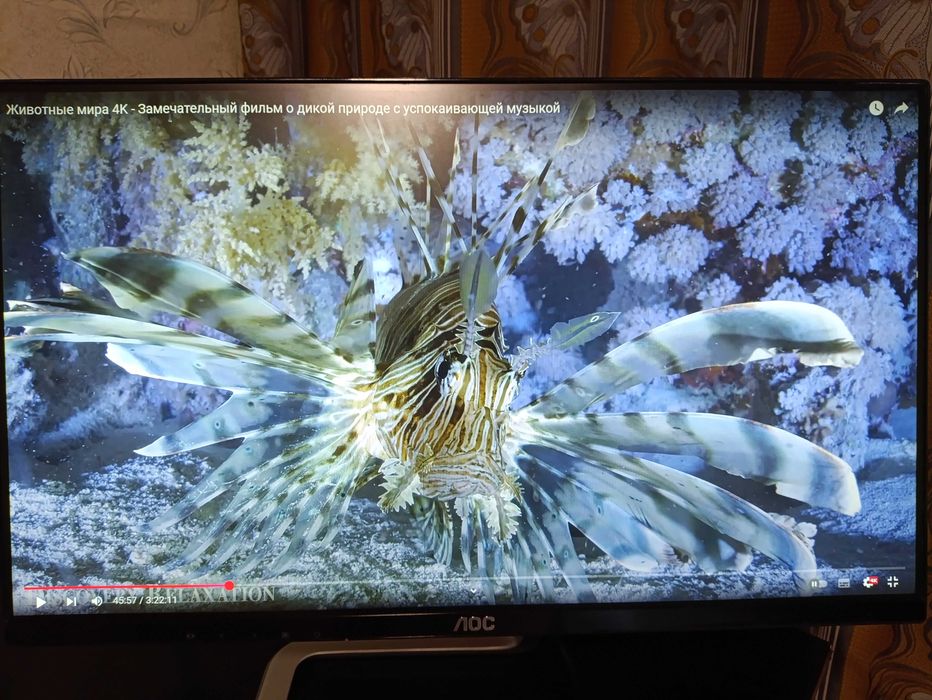 Монитор 23.8" AOC I2481FXH + HDMI кабель