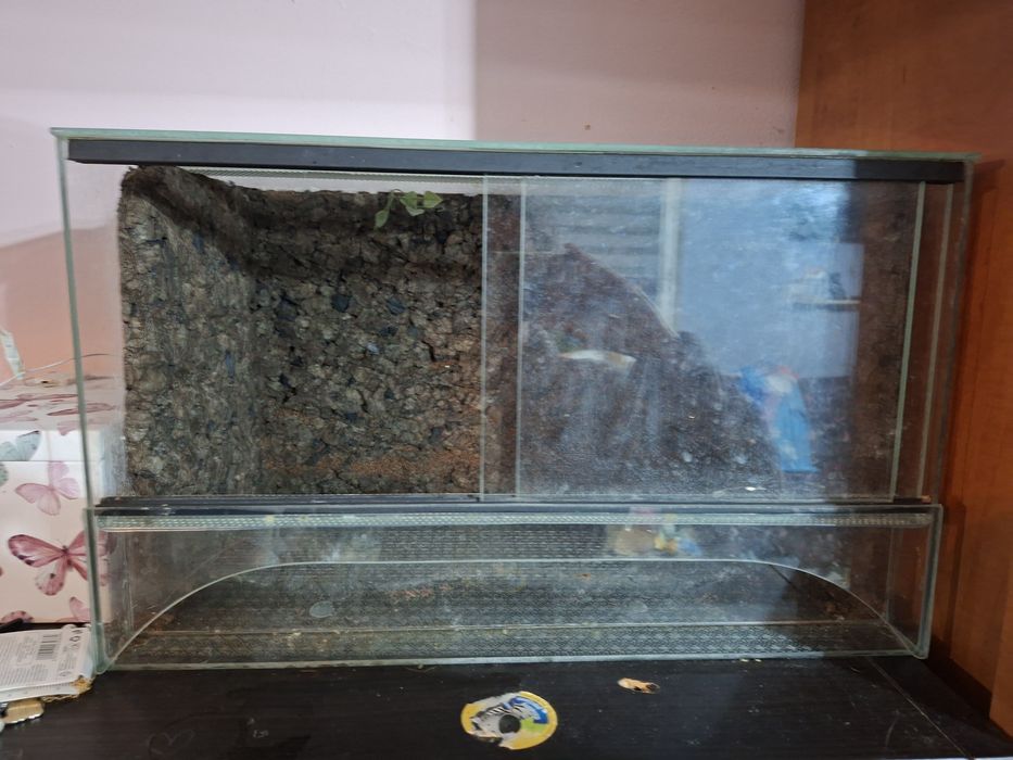 Terrarium  dla zwierzaka