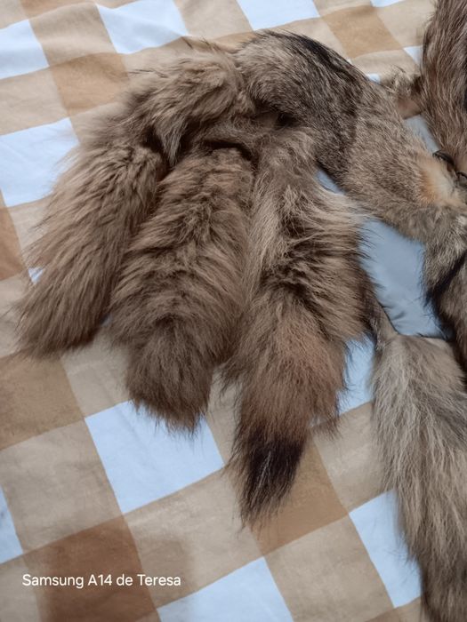 Estola/cobre ombros de pelo natural raposa