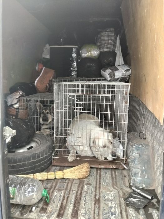 Грузоперевозки по Украине