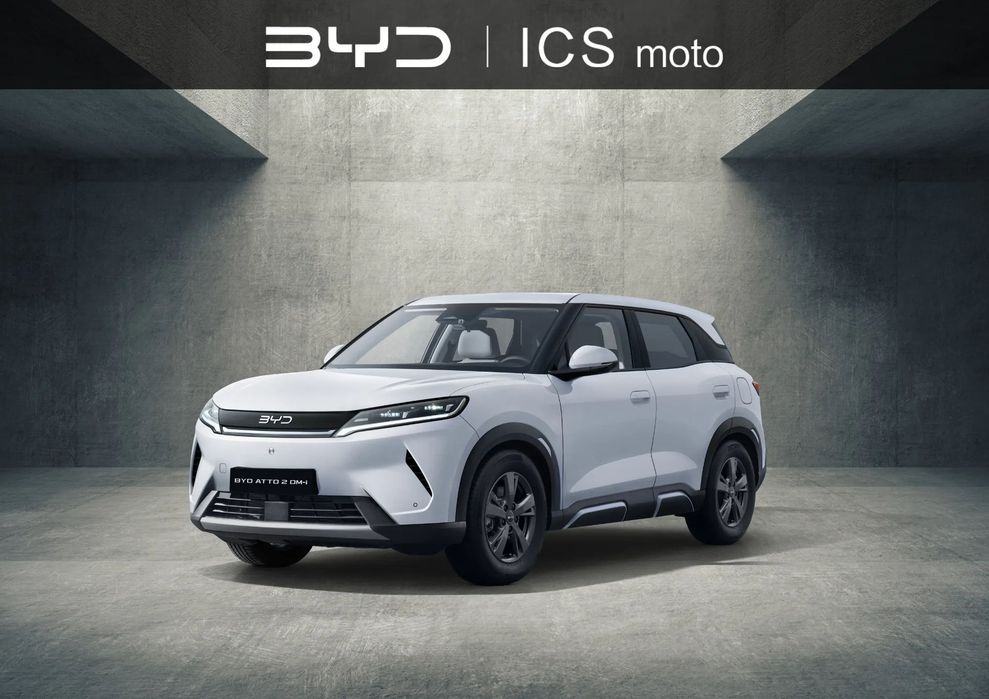BYD Pozostałe BYD