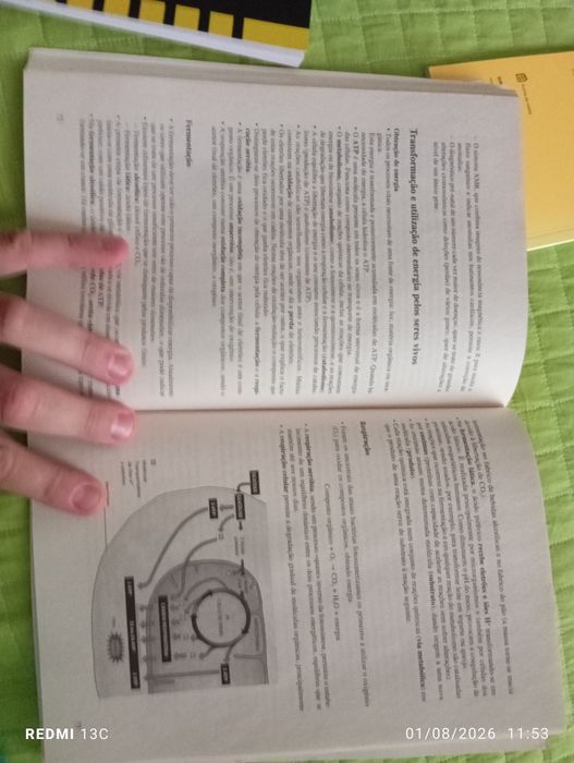 Livros resumos e revisões do secundário de Biologia, Geologia, Física e Química