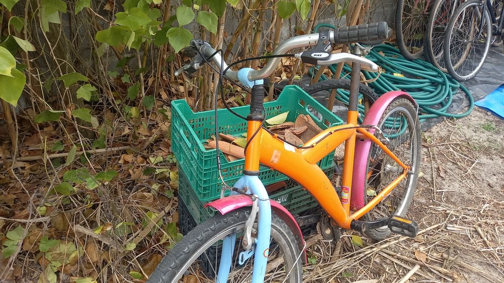 Bicicleta Belga Bertels Rara