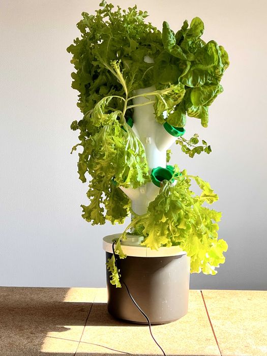 Wieża hydroponiczna Shopollo - 5 poziomów, 25 gniazd