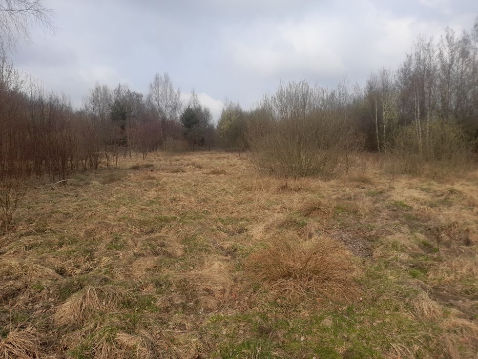 Piękne miejsce koło Przysuchy, Kozłowiec  116 km od Warszawy.