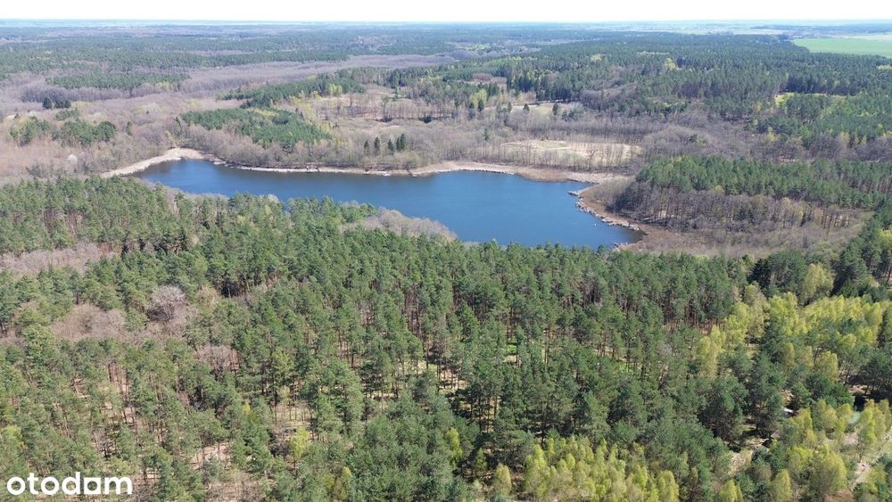 Działka rekreacyjna nad jeziorem. – pohled 2