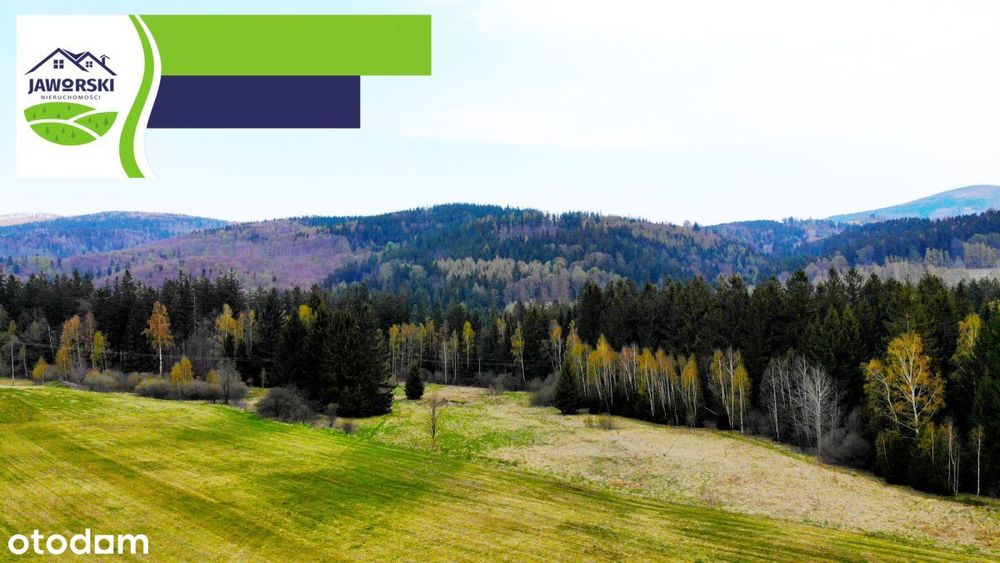Działki w Sierpnicy - Rolne - Widok 3