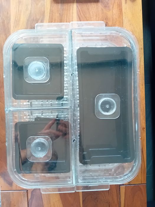 Parowar Zelmer ZSC1600X