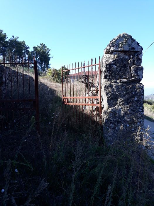 Vendo terreno e casa em Armamar, Queimada