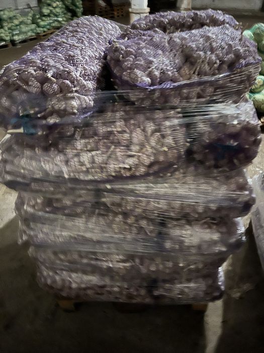 Часник / чеснок опт / розница