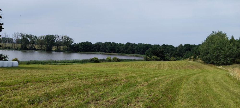 Działka nad jeziorem