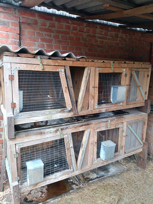 Клетки для кроликов