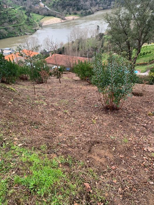 Terreno excelente vista para Rio Douro