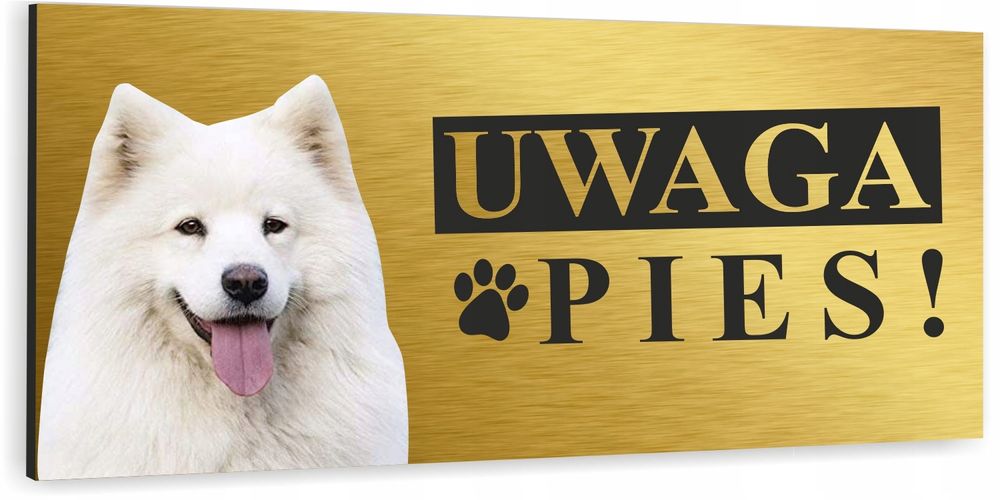tabliczka uwaga zły pies samoyed samojed złota