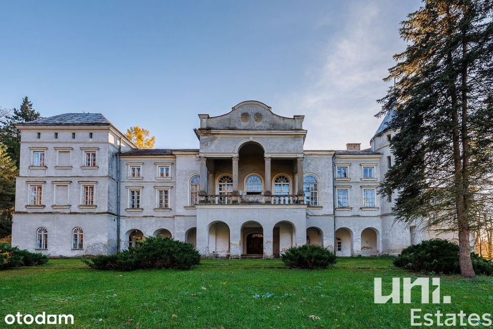 Wyjątkowy Pałac Ostaszewskich | Wzdów | Okazja