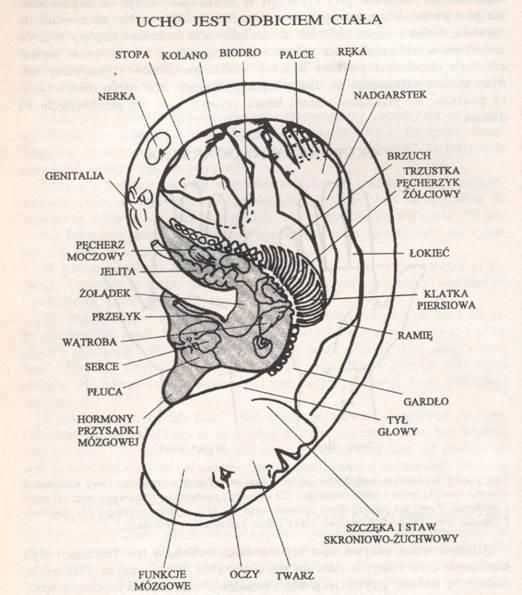 Wspomaganie PŁODNOŚCI kursy masażu DLA PAR Otwarte 7 dni w tyg Gdansk