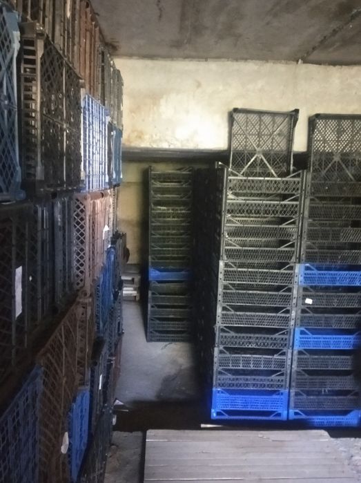 Продам ящик виноградний, стан хороший, незважаючи, на те що ящики б/в