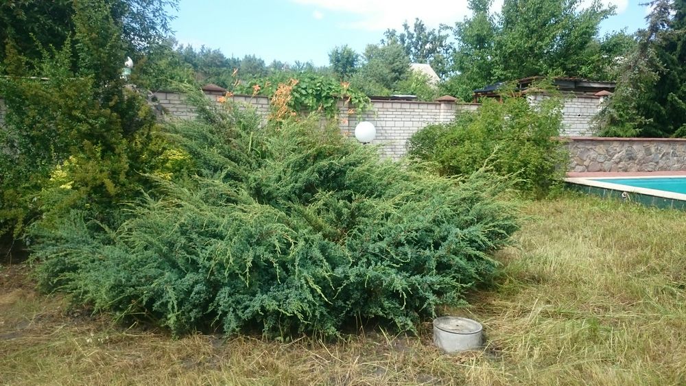 Оренда будинку під Києвом (з жовтня по квітень):соняч.панелі+камін+сауна+альтанка..)