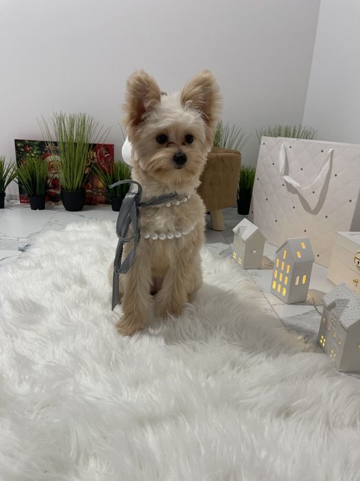 Помапу — Доставка по Україні та Європі  з любовю