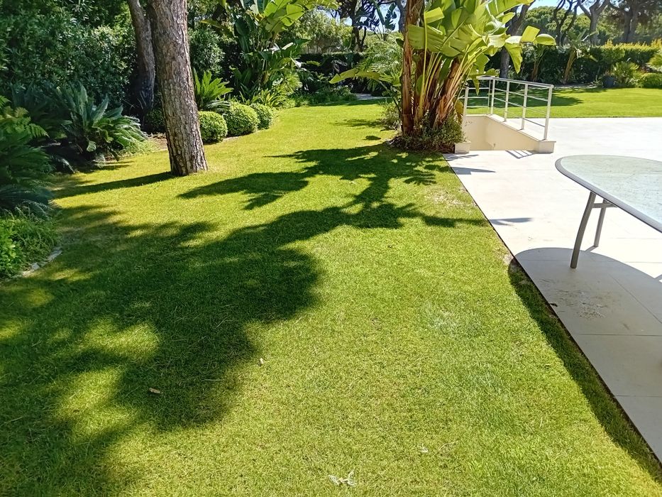 Piscinas, Jardins e Obras