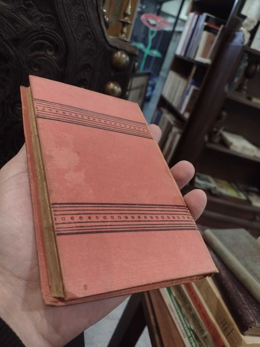 A Engeitada - Camilo Castelo Branco