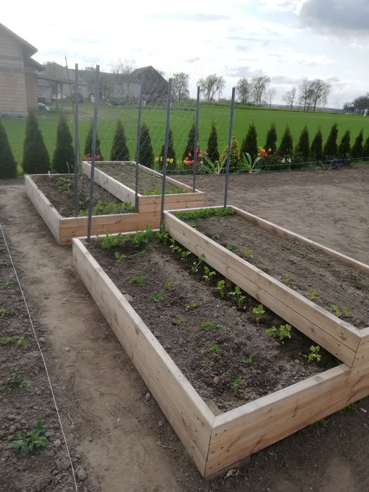 Skrzynia na warzywa warzywniak podwyższone grządki