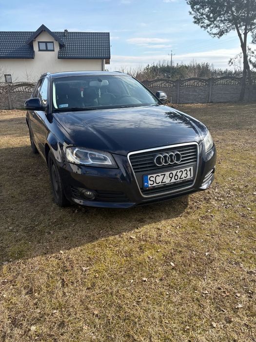 Audi A3 Sportback Audi A3 8P 1.6TDI 2009. 2 komplety kół