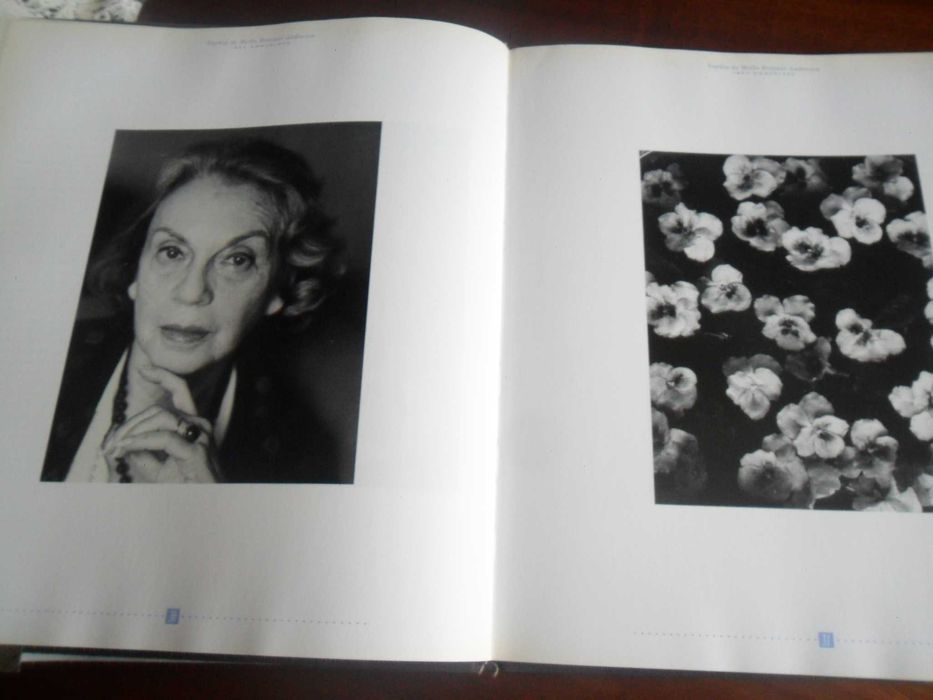 "A Imagem das Palavras" - L'Image des Mots - de Vários -1ª Edição 1991