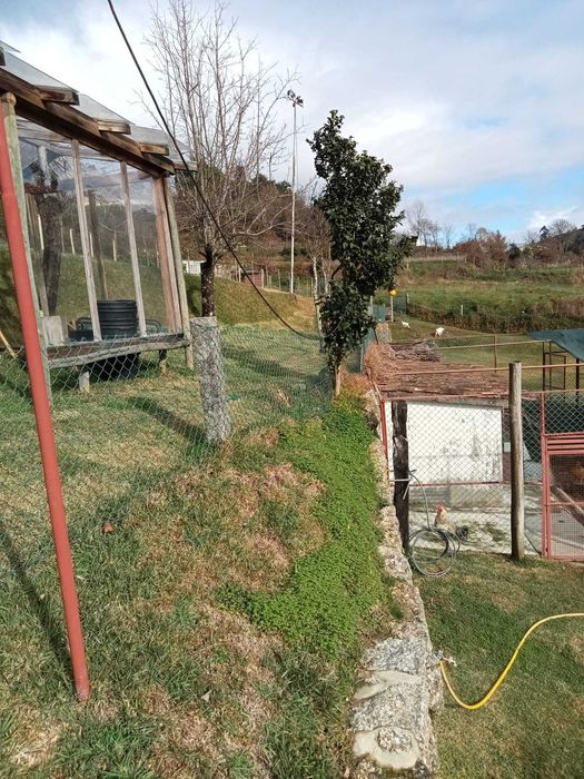 Quinta para Workshops de Jardinagem, Cultivo e Sustentabilidade