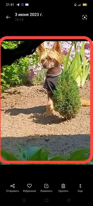 Хлопчик на годину)