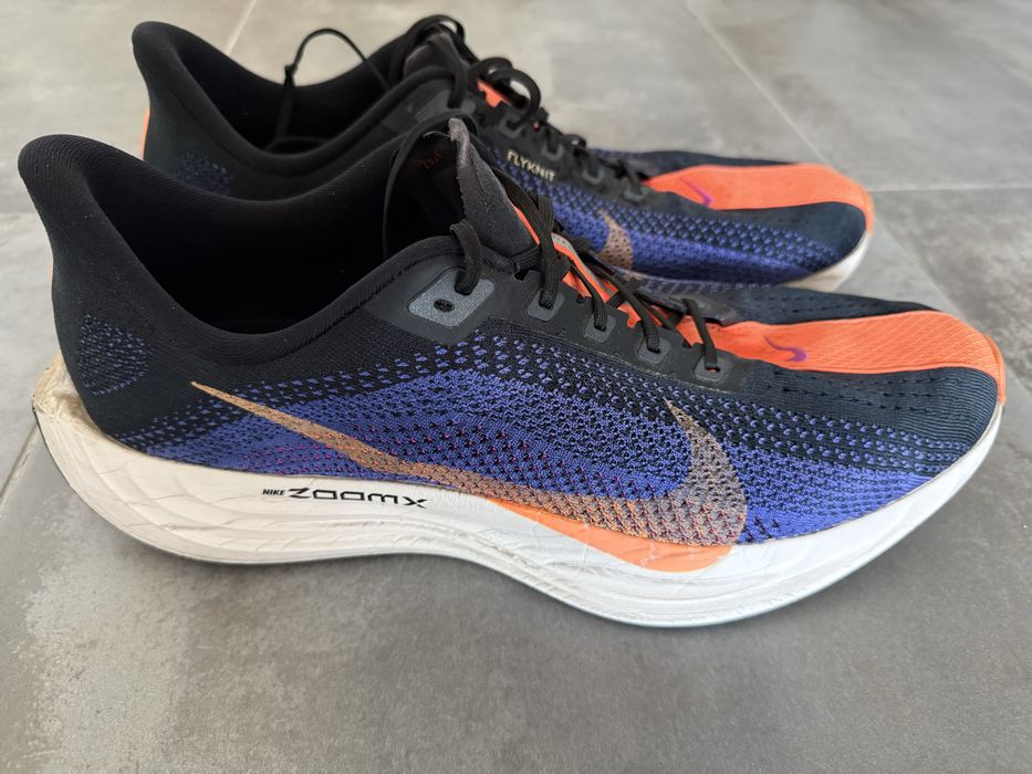 Nike Pegasus Plus