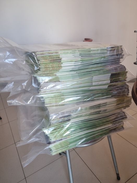 50 Caixas com visor transparente