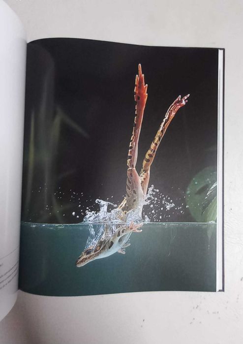 A Vida Secreta dos Animais, Enciclopédias dos animais selvagens