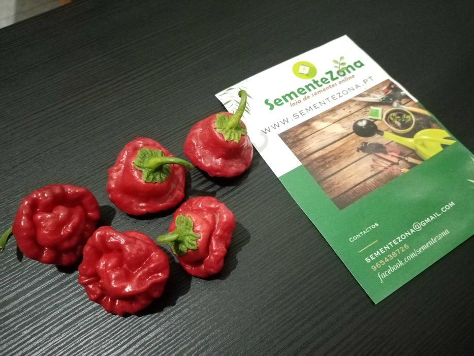 Kit (Sementes) 12 Variedades de Pimentas Picantes