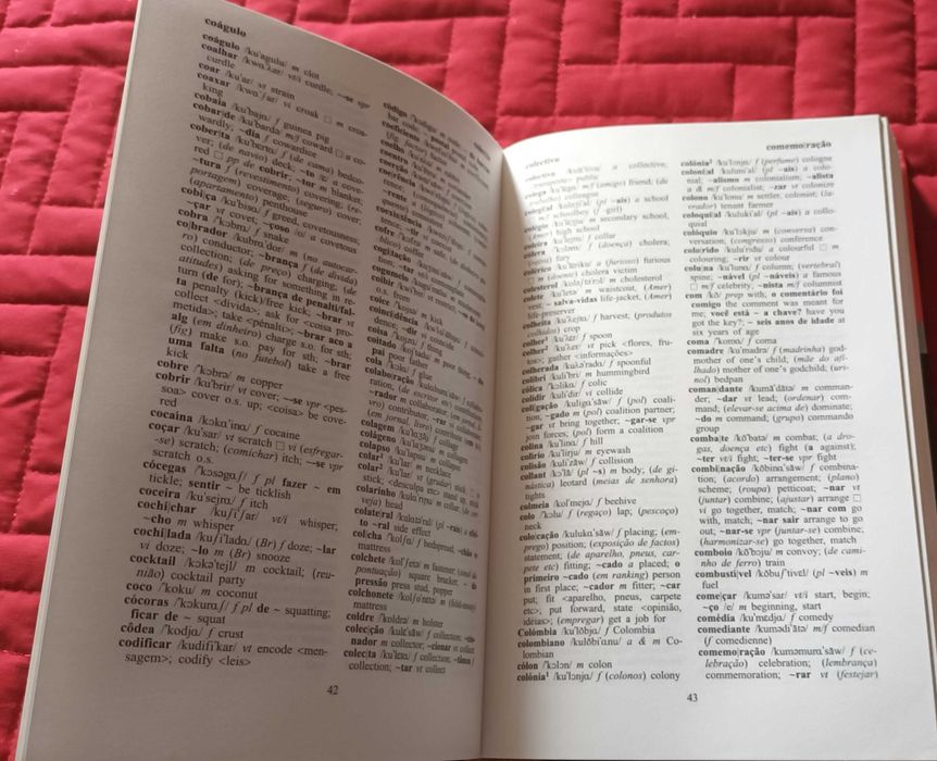 Dicionário escolar de inglês