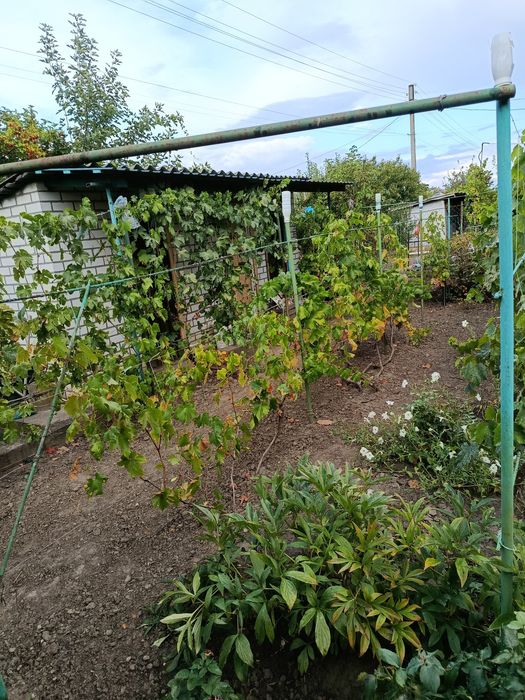 Продам дачу с домом (без печки)