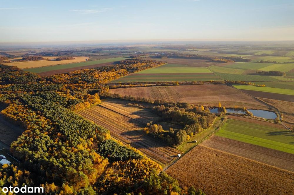 Żyj blisko natury – działki przy lesie w Poniatowicach - View 4