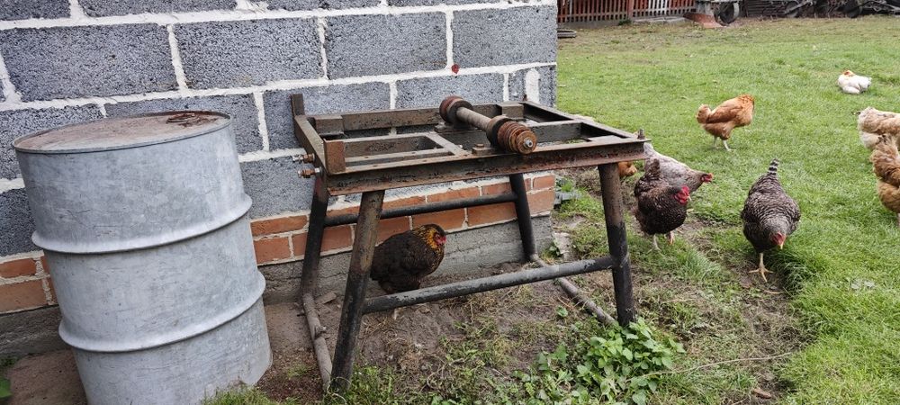 Cerkulatka bez blatu