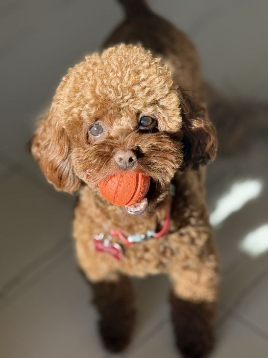 Маленький сладунчик