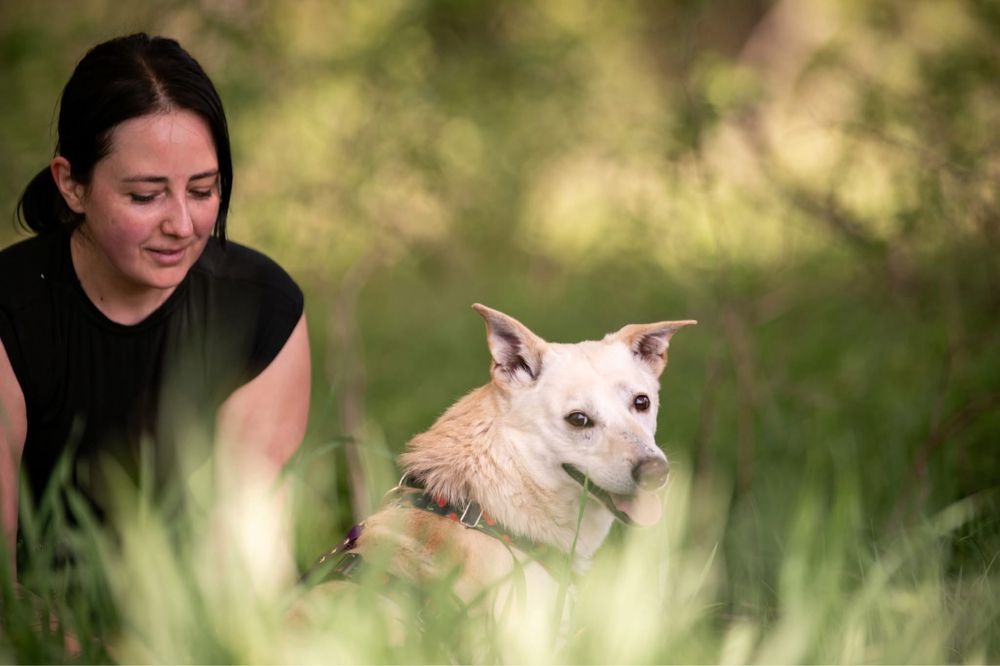 Cheerios szuka domu!