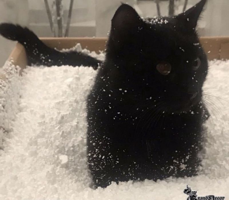 Пінопластова крошка