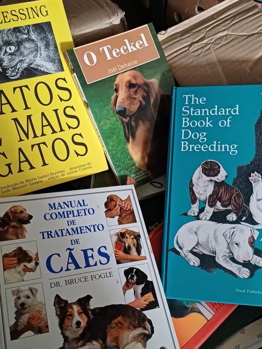 Livros de caes e gatos