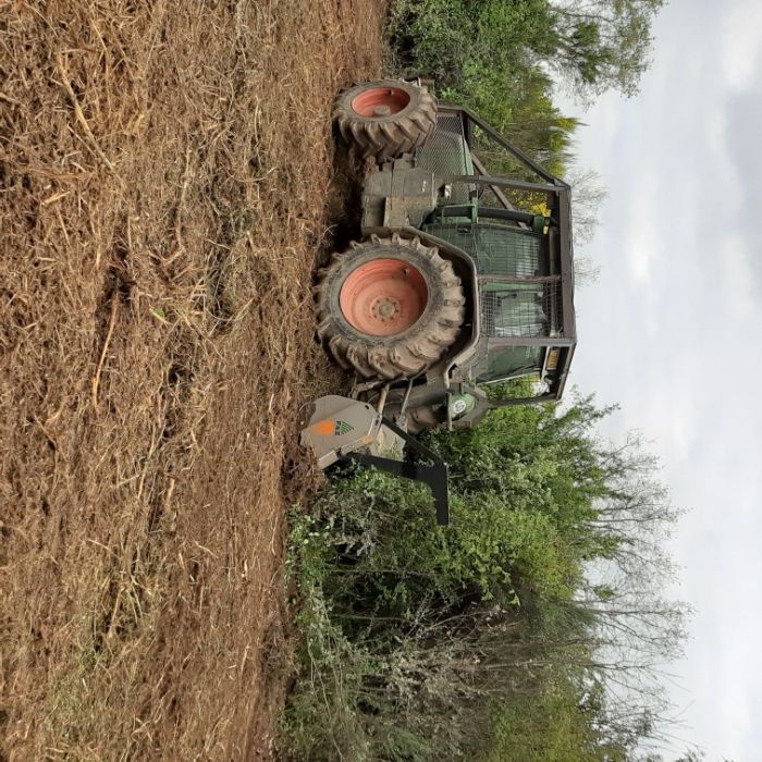 Serviços Agrícolas e Florestais