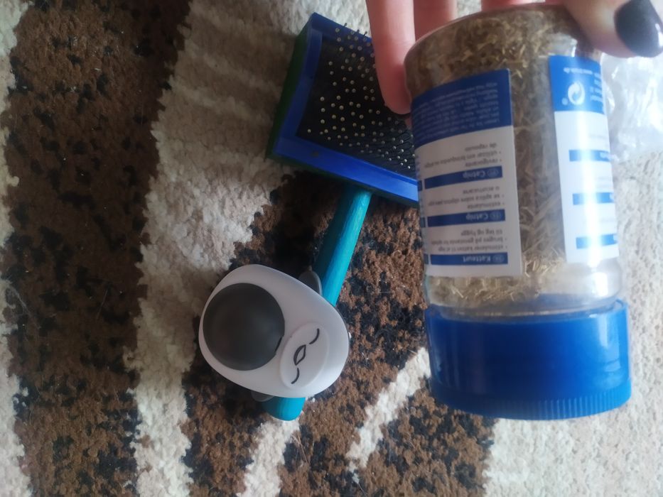 Зоотовары для кошачих